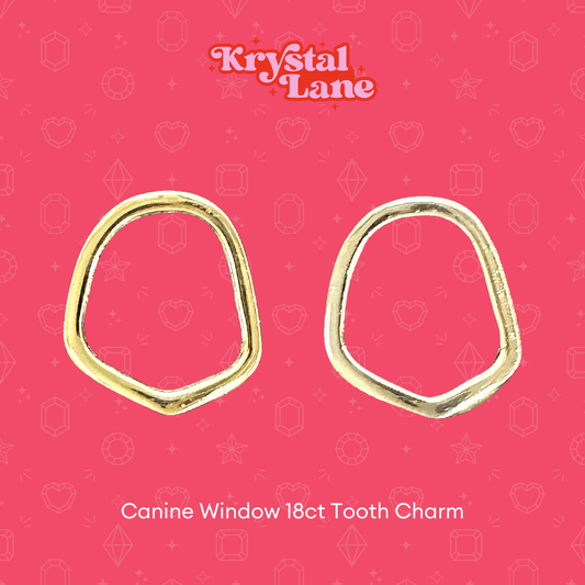 Canine Window Solid Gold Tooth Charm