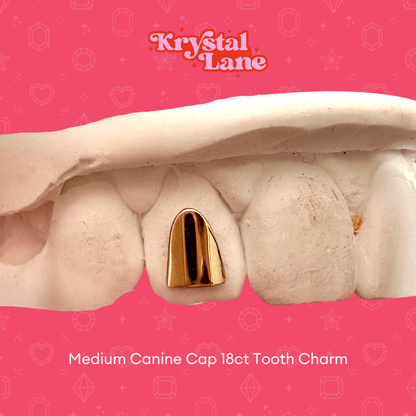 tooth gems, tooth charms, gold teeth gems, gold tooth charms, 18k tooth gems, teeth gems, Swarovski tooth gems, tooth gem application, diamond gems, diamond tooth gems, nike tooth gem, star tooth gem, heart tooth gem, twinkles tooth gems, tooth kandy, dentluxe, sparkle by maya, wholesale tooth gems, tooth gems australia, tooth gems Melbourne, tooth gem training, tooth gem course, mouth house, tooth gem application, temporary tooth gems