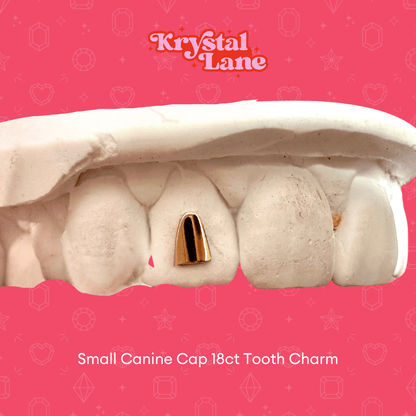 tooth gems, tooth charms, gold teeth gems, gold tooth charms, 18k tooth gems, teeth gems, Swarovski tooth gems, tooth gem application, diamond gems, diamond tooth gems, nike tooth gem, star tooth gem, heart tooth gem, twinkles tooth gems, tooth kandy, dentluxe, sparkle by maya, wholesale tooth gems, tooth gems australia, tooth gems Melbourne, tooth gem training, tooth gem course, mouth house, tooth gem application, temporary tooth gems